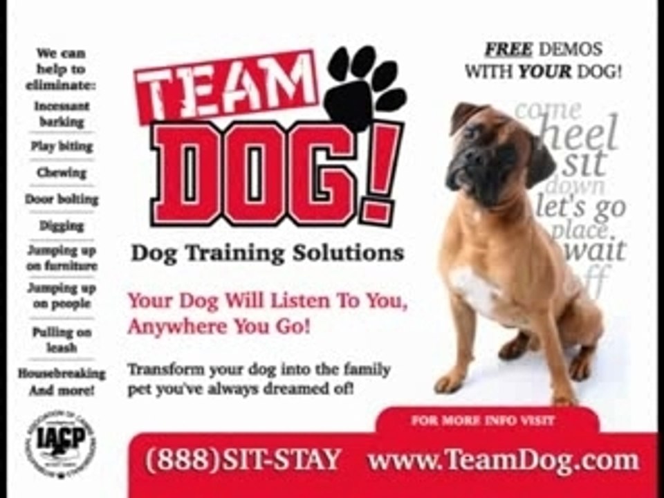 TeamDogSlideshow