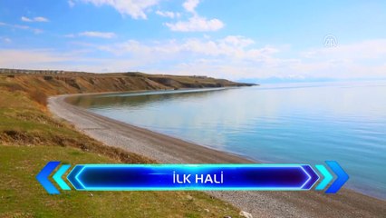 Van Gölü'ne Mavi Bayrak ödülü - VAN