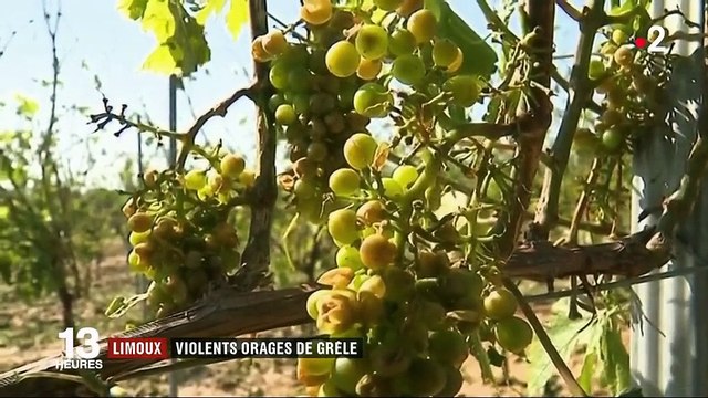 Aude : de violents orages de grêle provoquent des dégâts