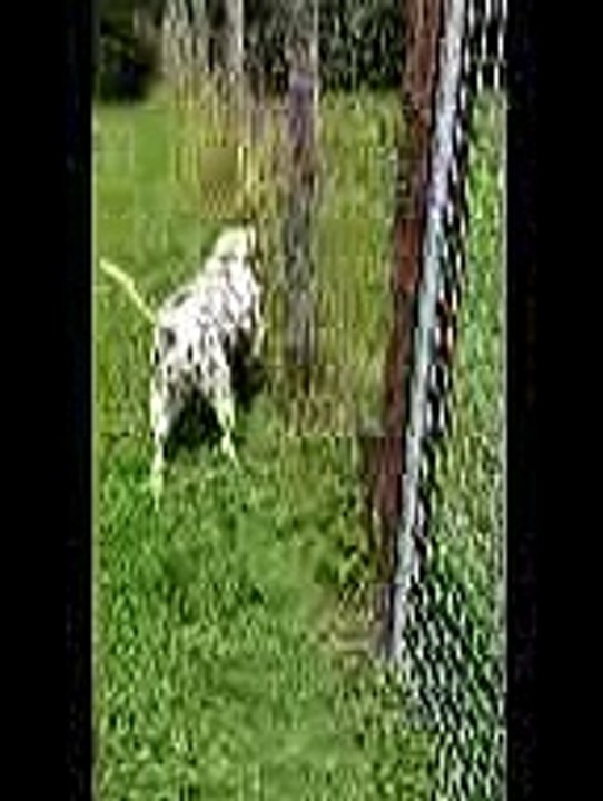 20180704_140939_001