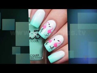 Next - Fashion - 4 Korrik 2018 - Show - Vizion Plus