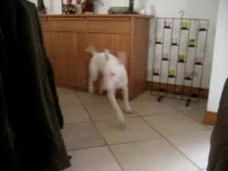 Looping et charly 004