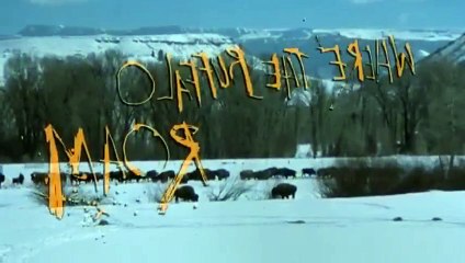 Where the Buffalo Roam part 3/3