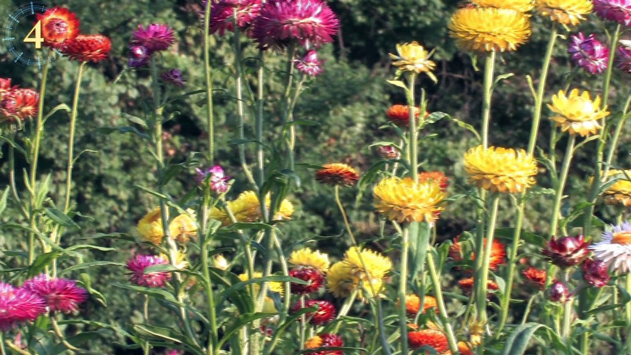 Test Your Personality - You Are Not WHO YOU Think You ARE