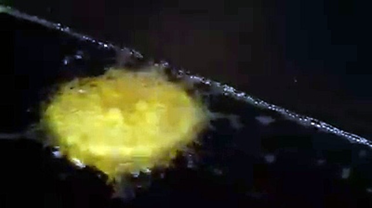 A Guernsey fish and chip shop is putting it's own spin on a Christmas favourite. Deep fried mince pies are on the menu at Cobo Fish Bar. Last year it was deep f