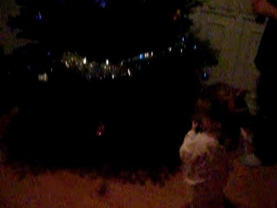 Lola prépare le sapin avec son papa