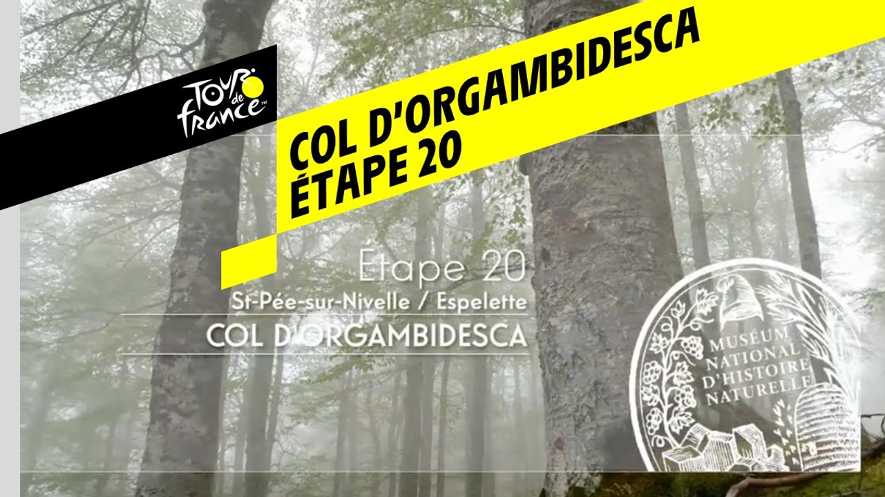 Étape 20 : Col d'Orgambidesca