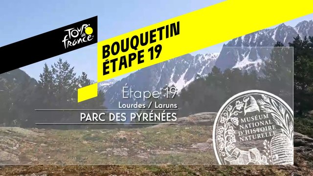 Étape 19 : Réintroduction du Bouquetin dans le Parc national des Pyrénées
