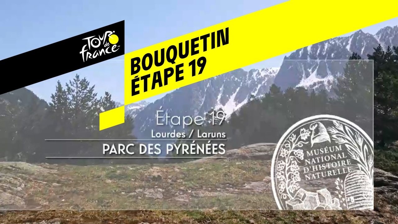 Étape 19 : Réintroduction du Bouquetin dans le Parc national des Pyrénées