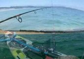 Great White Shark Swims Right Next to Kayaker in Monterey, California