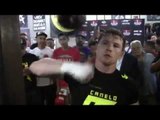 Saul Canelo Alvarez SPEED BAG WORKOUT for canelo alvarez vs james kirkland