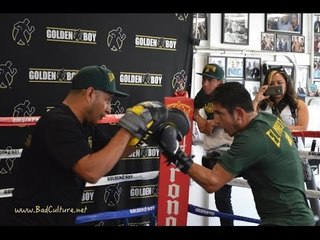 Mauricio Herrera SPEED & POWER MITT WORKOUT! vs Hank Lundy