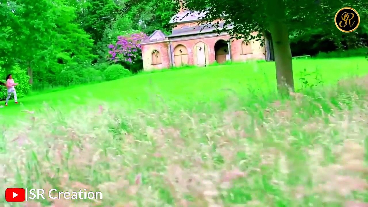  New WhatsApp Status Video 