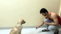 PORUS PLAYING WITH DOG | PORUS DRAMA | LAKSH LALWANI  PLAYING WITH DOG |  PORUS BEST FRIEND