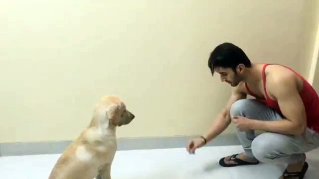 PORUS PLAYING WITH DOG | PORUS DRAMA | LAKSH LALWANI PLAYING WITH DOG | PORUS BEST FRIEND