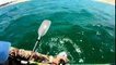 Ce kayakiste filme un grand requin blanc à 2m de lui - Monterey, California