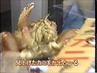 昔の空耳　その0099