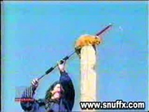 un chat qui fais superman = supercat