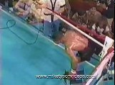 fights Boxing Mike Tyson greatest knockouts