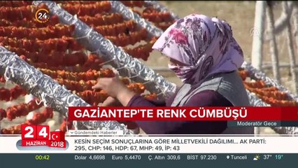 Renk cümbüşü
