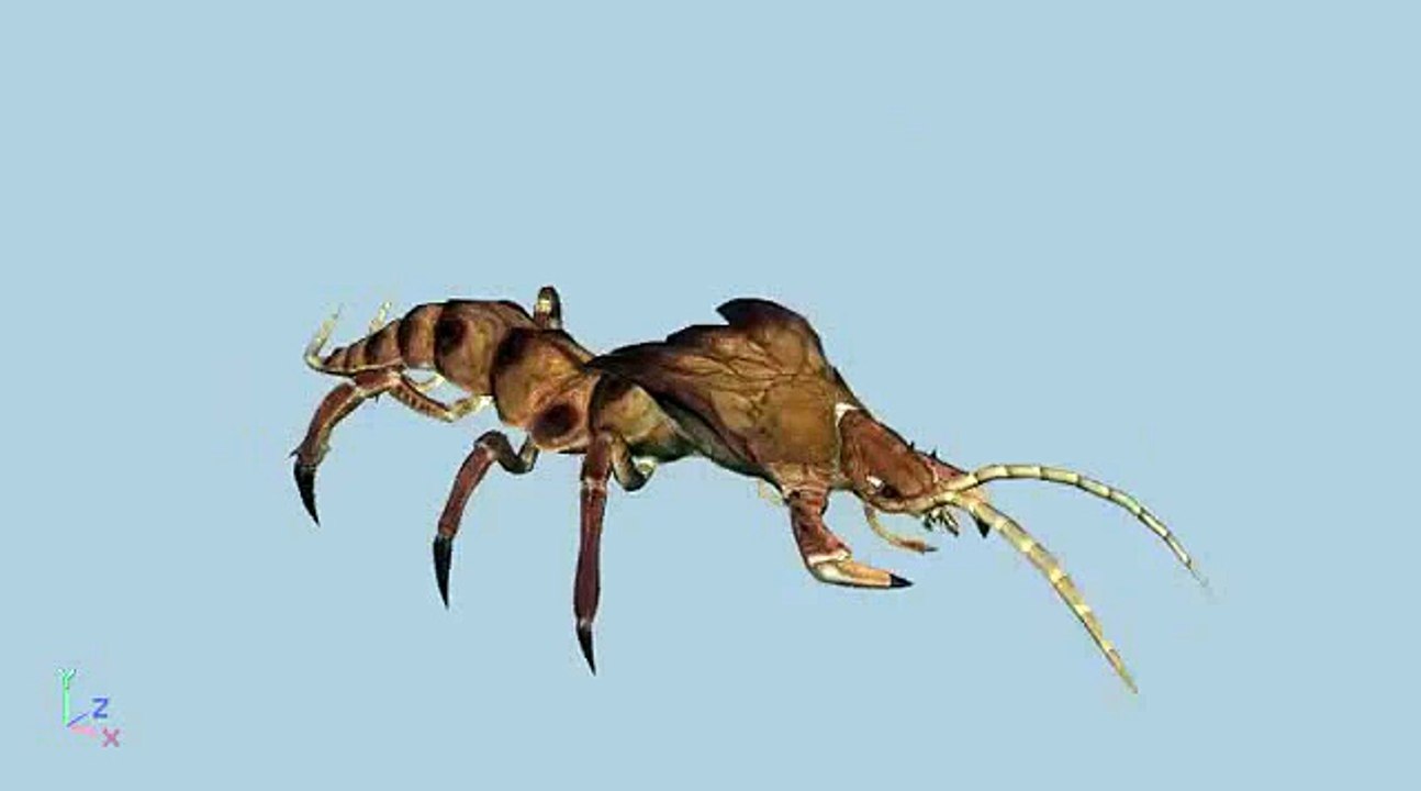 BLESS 3D models animations 8 c4d