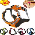 Reflective Dog Harness Accessories Pet Dog Adjustable Professional Harness