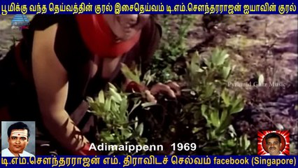 Adimaippenn  1969  T M Soundararajan Legend