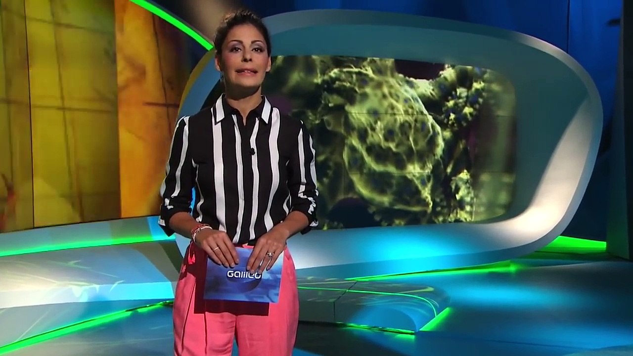 Giftigster Kontinent Australien Galileo ProSieben