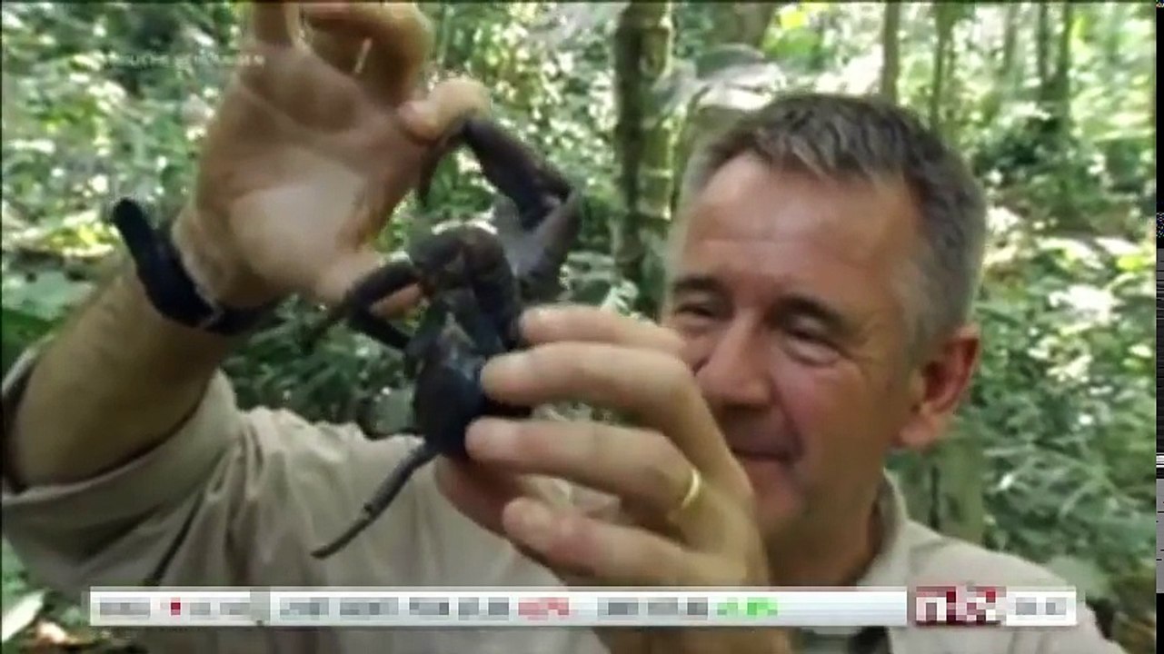 Tödliche Schlangen China