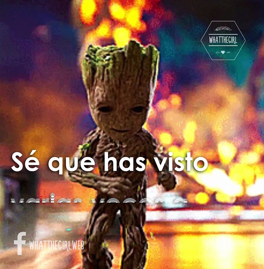 Groot Bebe Bailando