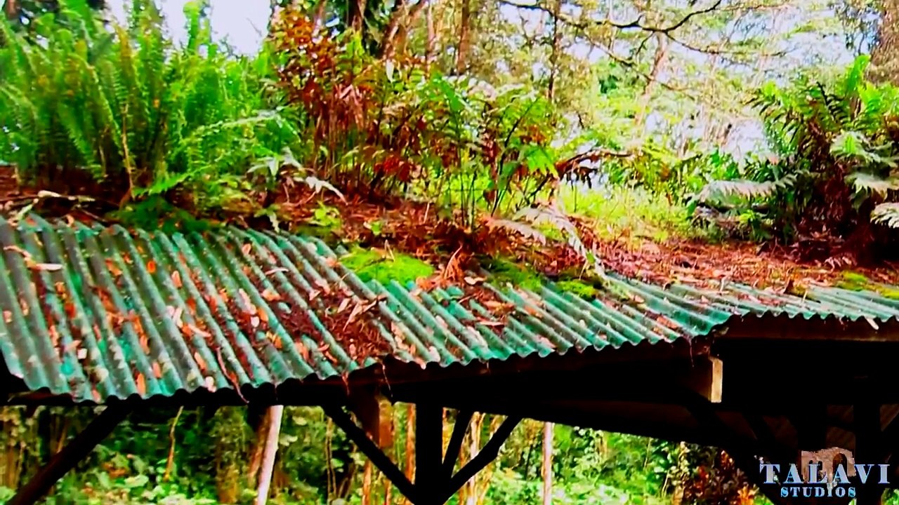 Lava Tree State Park