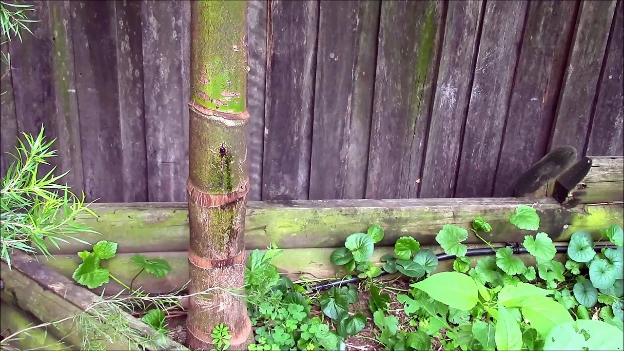 How To Make A Metal Throwing Star With NO TOOLS !!