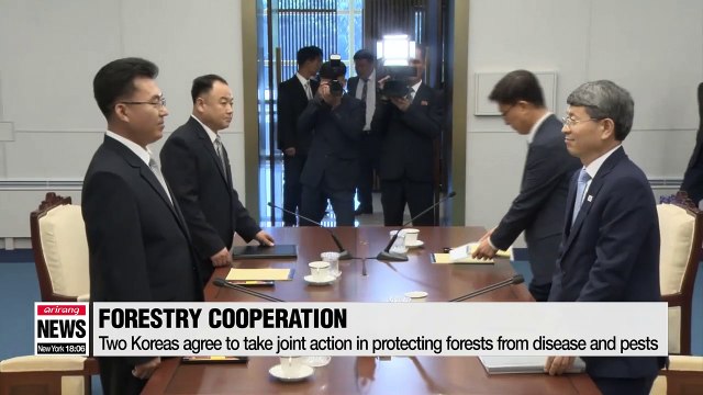 Two Koreas agree to cooperate on protecting forests against disease and pests