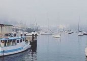 Commuter Chaos as Sydney Wakes Up Shrouded in Fog