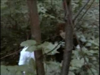 Forêt de Brocéliande