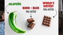 EXTREME SPICY CHALLENGE! HOTTEST CHOCOLATE IN THE WORLD