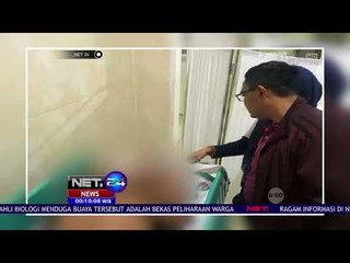 Download Video: Bandar Sabu Tewas Ditembak Polisi - NET24