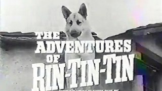 The Adventures of Rin Tin Tin @ 143 The Foot Soldier