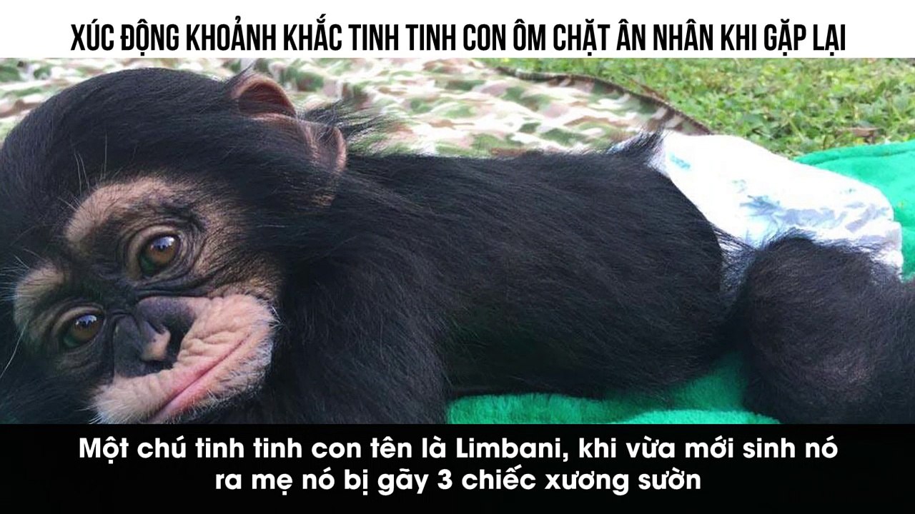 XÚC ĐỘNG KHOẢNH KHẮC TINH TINH CON ÔM CHẶT ÂN NHÂN KHI GẶP LẠI