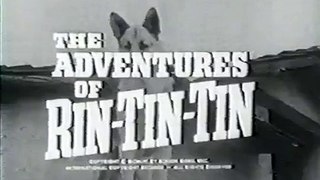 The Adventures of Rin Tin Tin @ 75 Sorrowful Joe