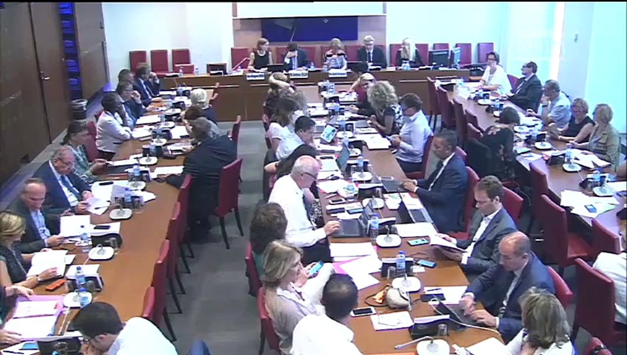 Commission des affaires sociales : Audition de M. Antoine Dulin, rapporteur de l’avis du Conseil économique, social et environnemental (CESE) - Mercredi 4 juillet 2018