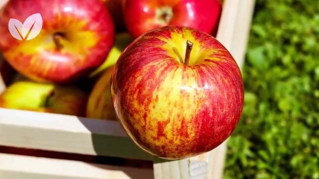 Coma Esses Alimentos TODOS os Dias para Limpar o Fígado Naturalmente