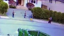 Horrific moment pit bull attacks three-year-old boy in NY