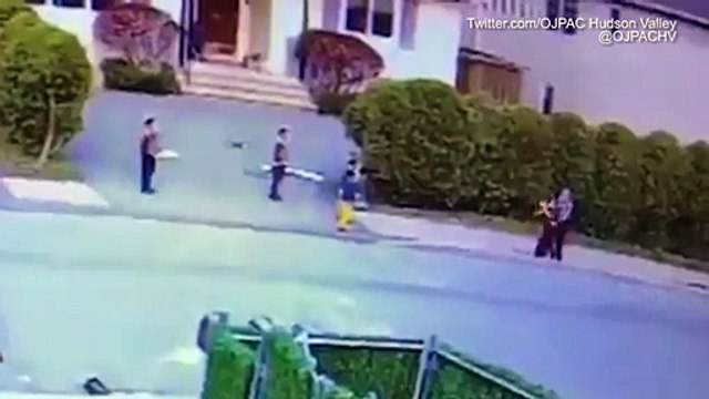 Horrific moment pit bull attacks three-year-old boy in NY