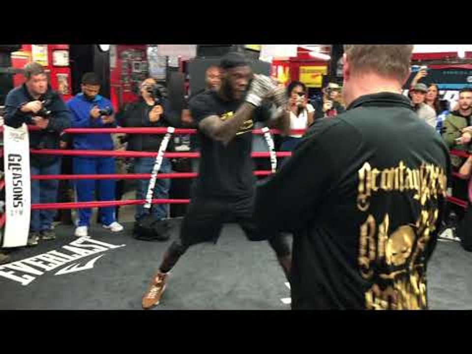 Deontay Wilder SHADOW BOXING vs Bermane Stiverne REMATCH