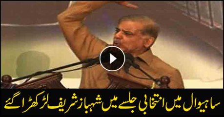 Shahbaz Sharif stumbled while election rally in Sahiwal
