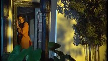 Dil Deya Mehrma We | Hina Nasarullah | Heer Ranjha | Punjabi  Folk Song | HD Video
