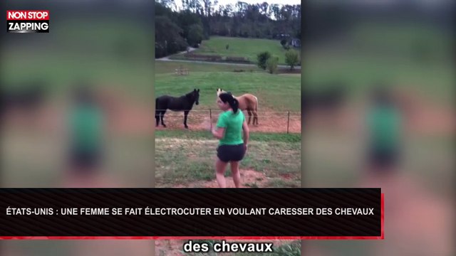 États-Unis : Une femme se fait électrocuter en voulant caresser des chevaux (Vidéo)