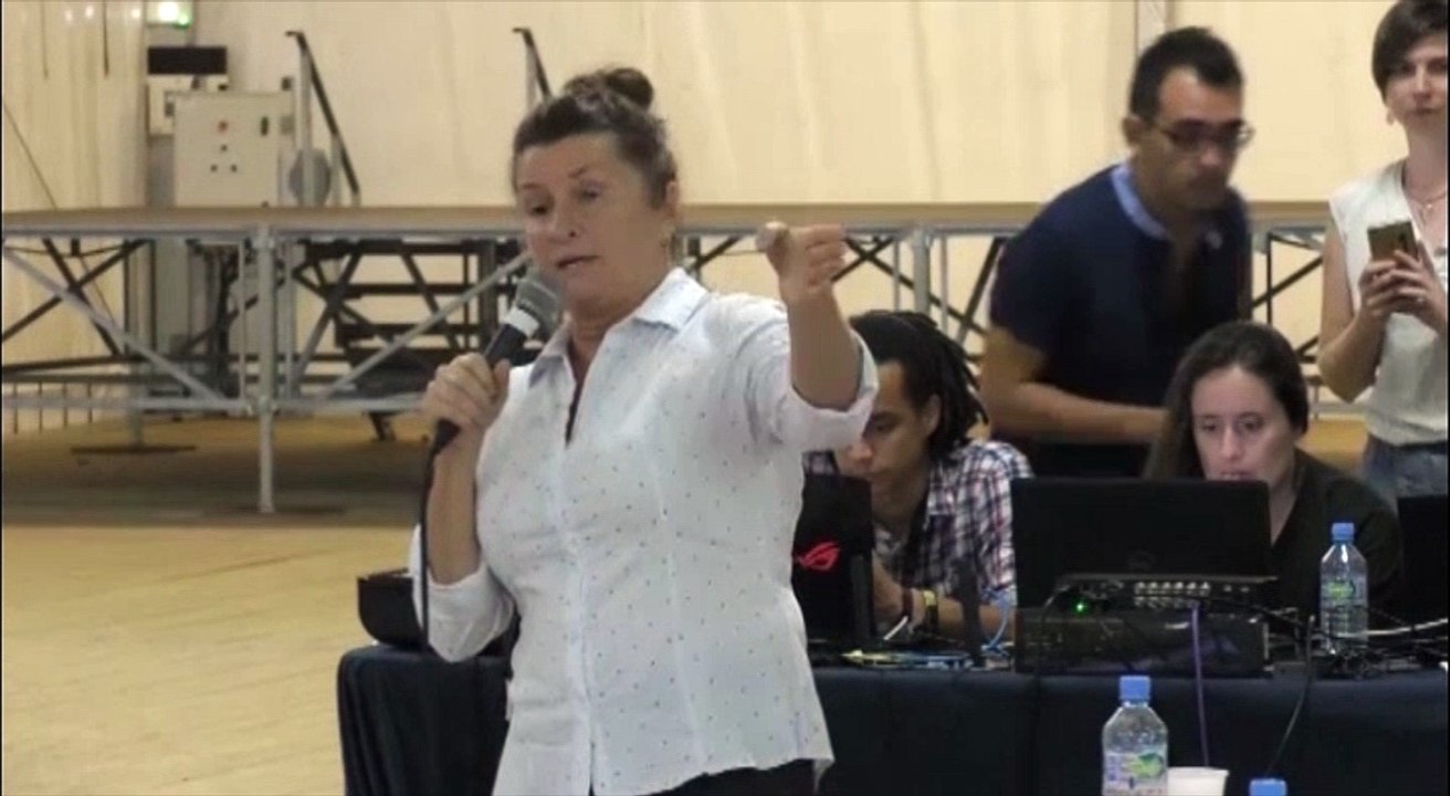 Atelier "Mine et environnement", mardi 22 mai, Saint-Laurent-du-Maroni-partie 2