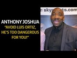 Johnny Nelson to Anthony Joshua AVOID Luis Ortiz,  He's TOO DANGEROUS For You!
